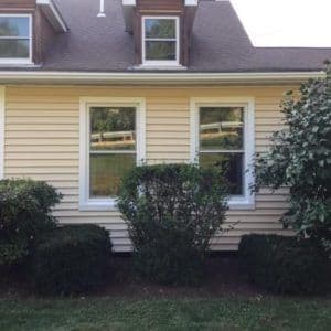 windows