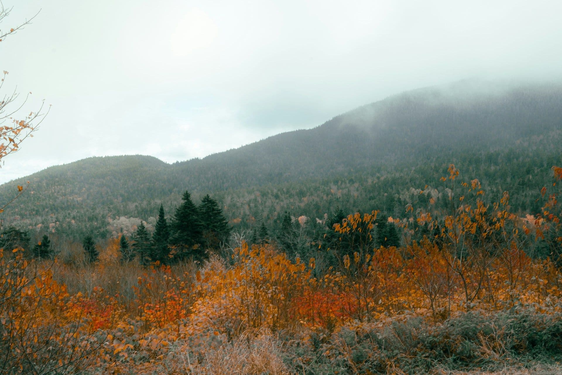 New Hampshire