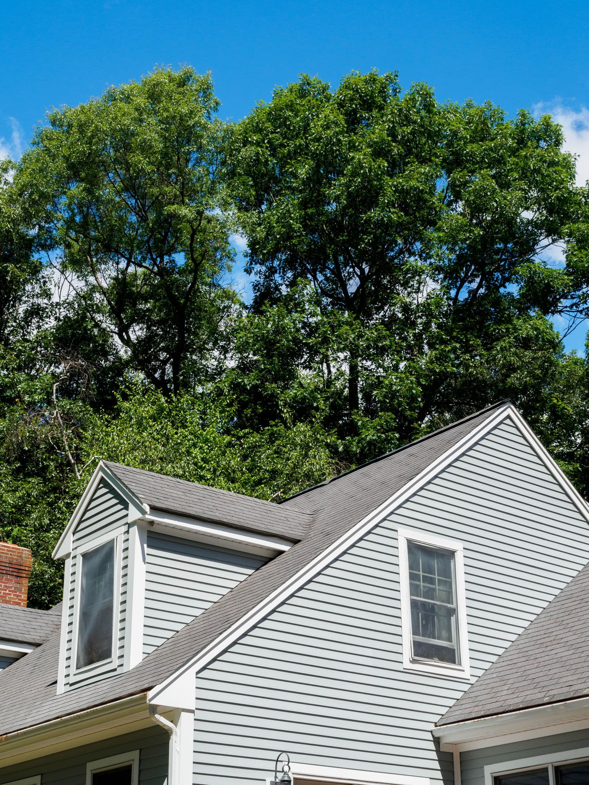 Composite siding
